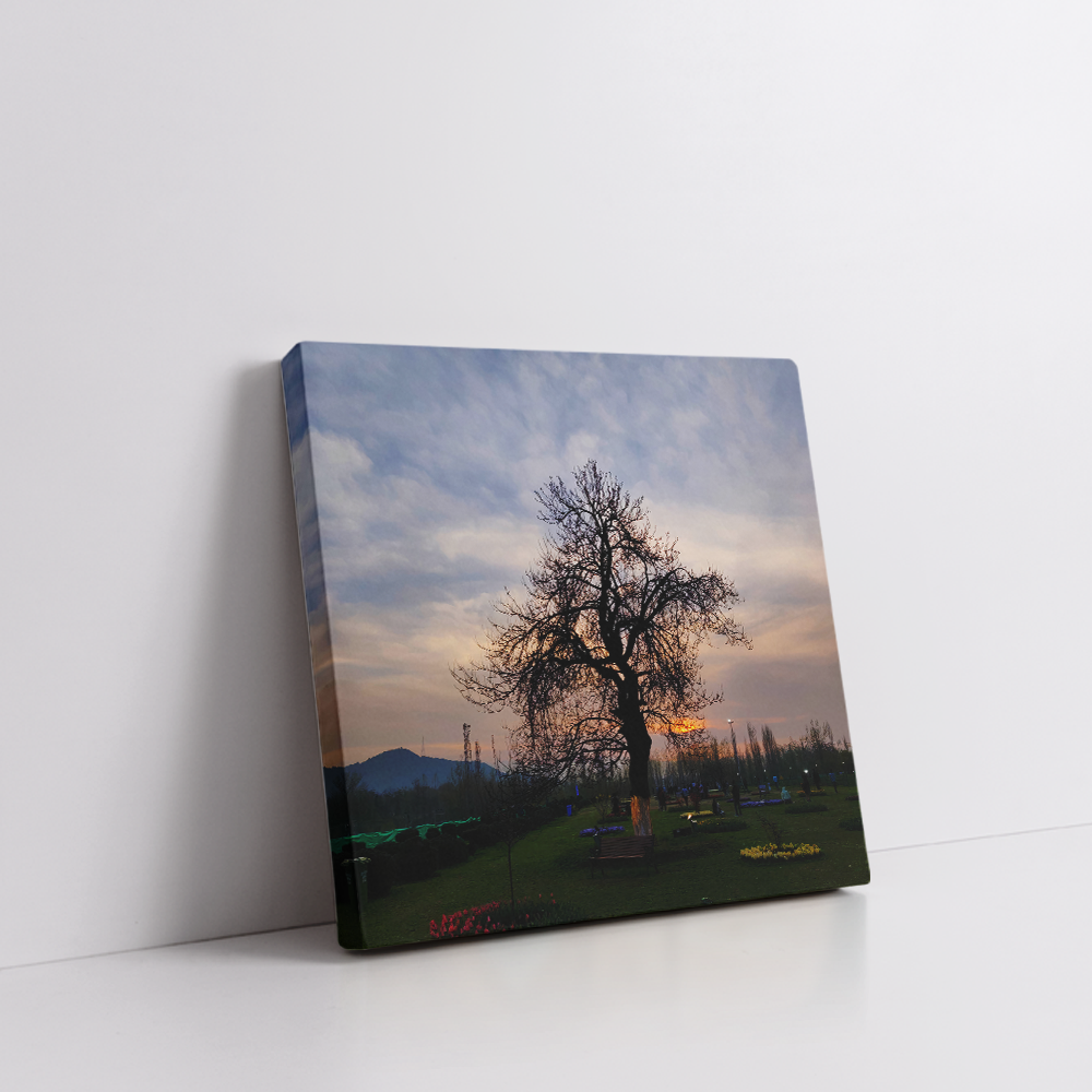 Tulip garden Srinagar Kashmir stretched canvas by Arts Fiesta