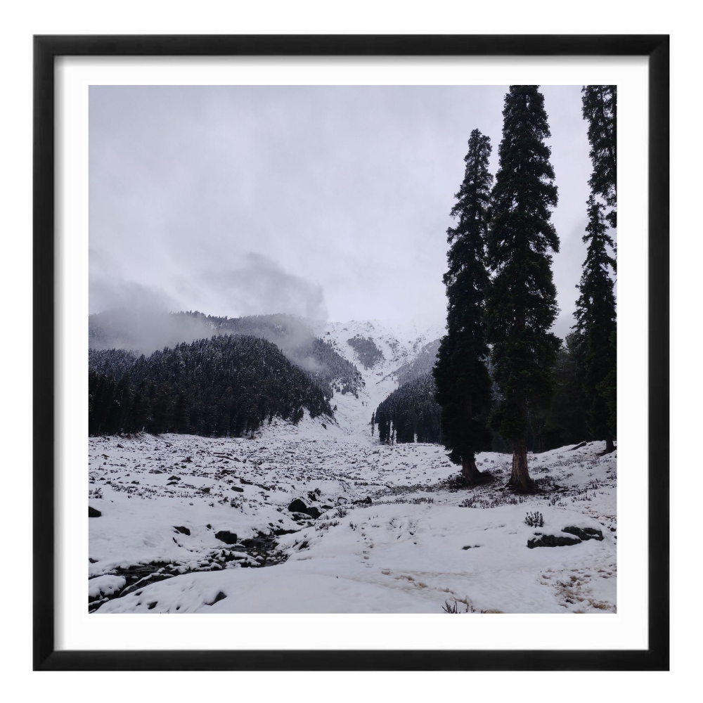Snow land photography print by Parikshita Jain