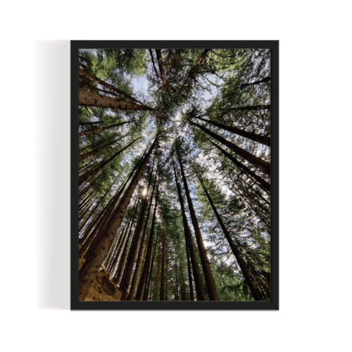 Speaking with black framed print by Arts Fiesta