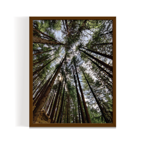 Speaking with the woods Uttarakhand Landscape brown framed print by Arts Fiesta