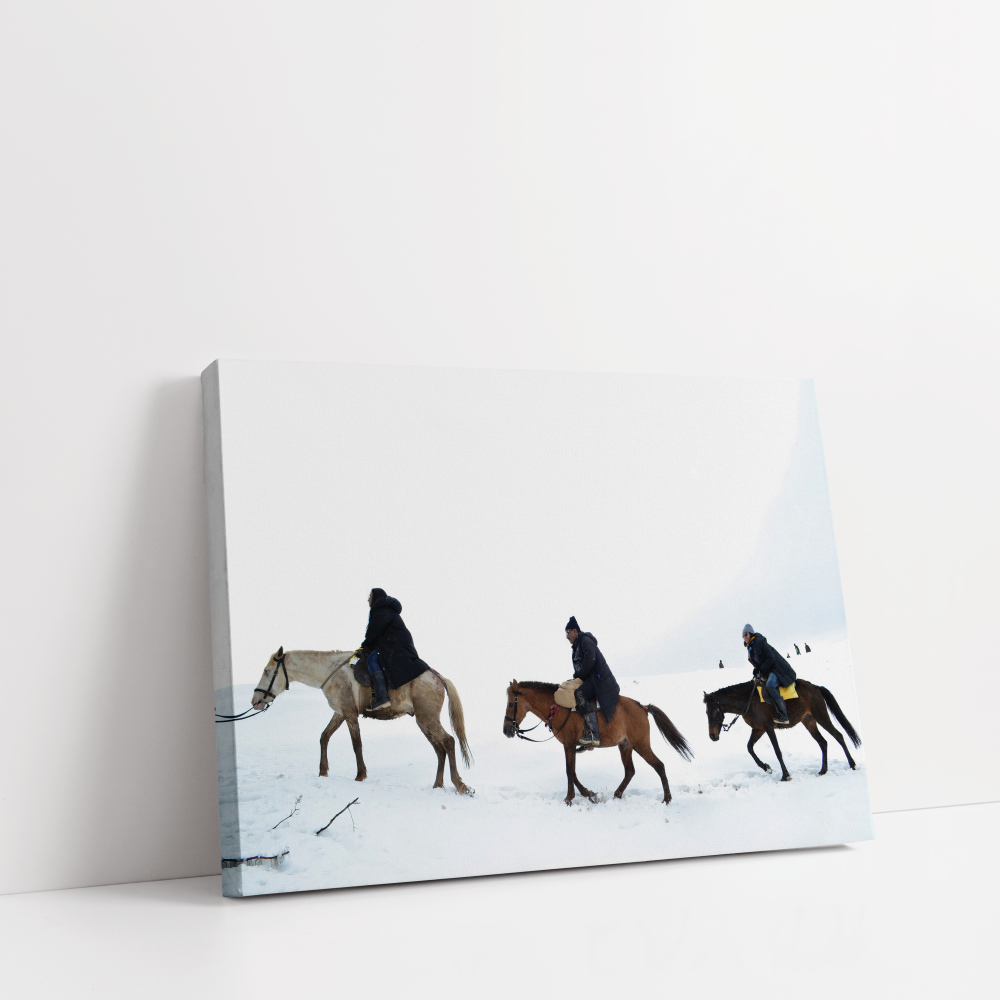 The white beauty Pahalgam Kashmir stretched canvas box print by Arts Fiesta