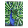 Discover stunning peacock paintings for your living room and elevate your home decor. explore our collection now for the perfect centerpiece.