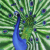 Peacock original acrylic painting by Parikshita Jain on Arts Fiesta