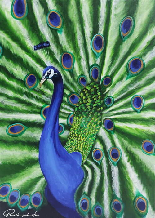 Peacock original acrylic painting by Parikshita Jain on Arts Fiesta