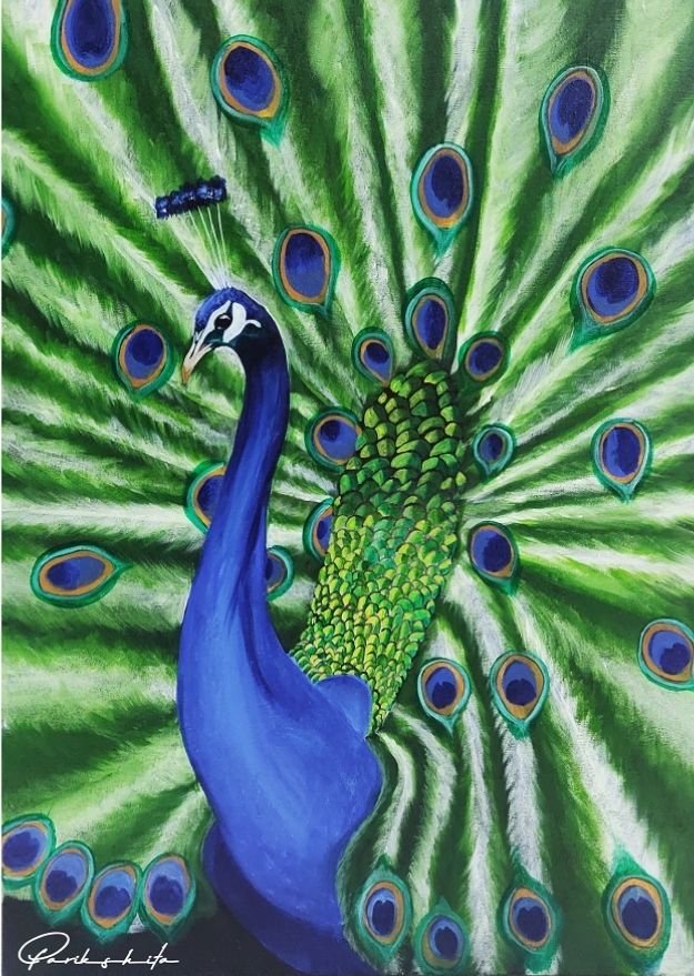 peacock homepage picture