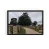 Fernhill Park and gardens dublin Landscape black framed print by Arts Fiesta