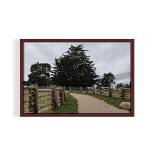 Fernhill Park and gardens dublin Landscape brown framed print by Arts Fiesta
