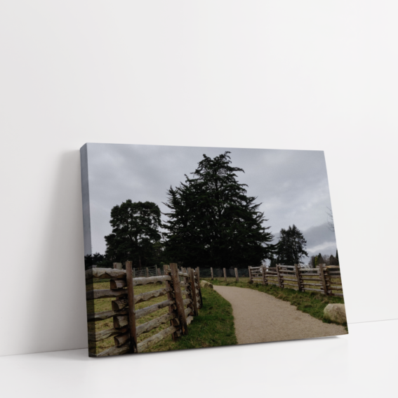 Fernhill Park and gardens dublin Landscape stretched canvas box print by Arts Fiesta