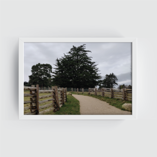 Fernhill Park and gardens dublin Landscape white framed print by Arts Fiesta