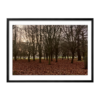 Phoenix Park Ireland dublin Landscape black framed print by Arts Fiesta