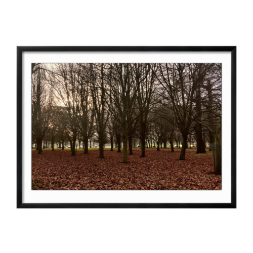 Phoenix Park Ireland dublin Landscape black framed print by Arts Fiesta