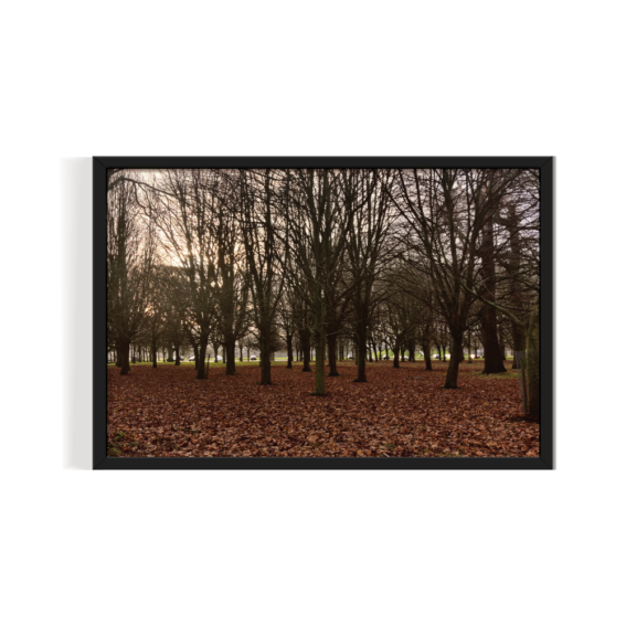 Phoenix Park Ireland dublin Landscape black framed print by Arts Fiesta