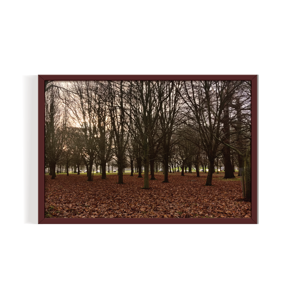 Phoenix Park Ireland dublin Landscape brown framed print by Arts Fiesta