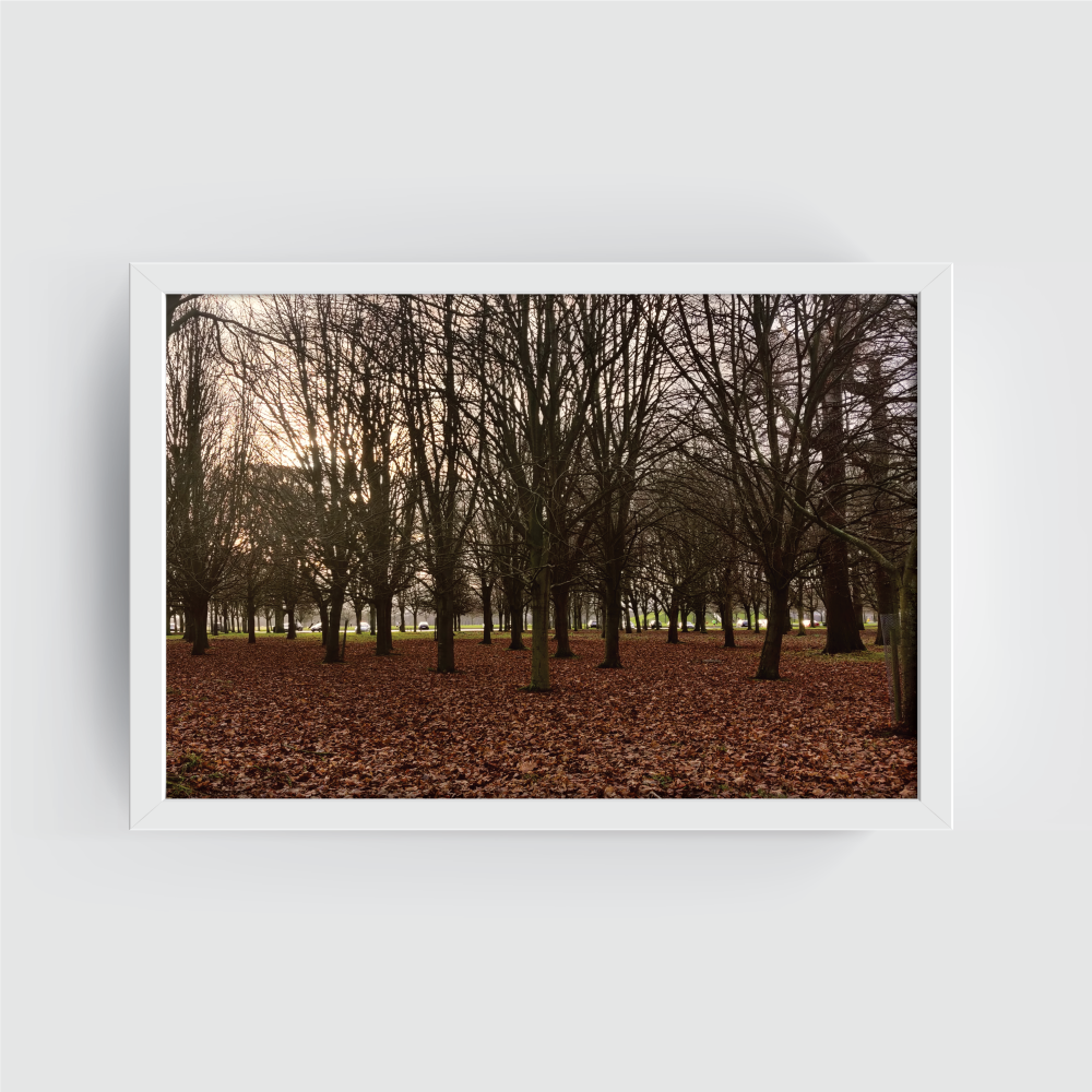 Phoenix Park Ireland dublin Landscape white framed print by Arts Fiesta
