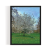 Blossoms London Landscape black framed print by Arts Fiesta