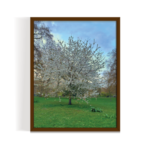 Blossoms London Landscape brown framed print by Arts Fiesta