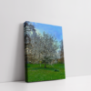 Blossoms London Landscape stretched canvas or box print by Arts Fiesta