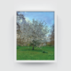 Blossoms London Landscape white framed print by Arts Fiesta