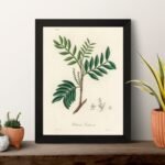Leaves sketch 1