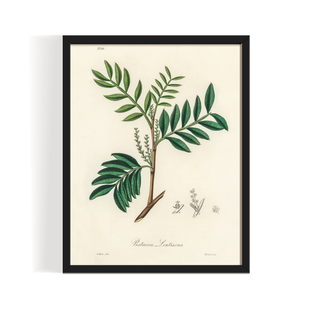 Leaves Sketch 1, Boho art, abstract painting black framed print, for wall decor - Arts Fiesta Online Art Gallery