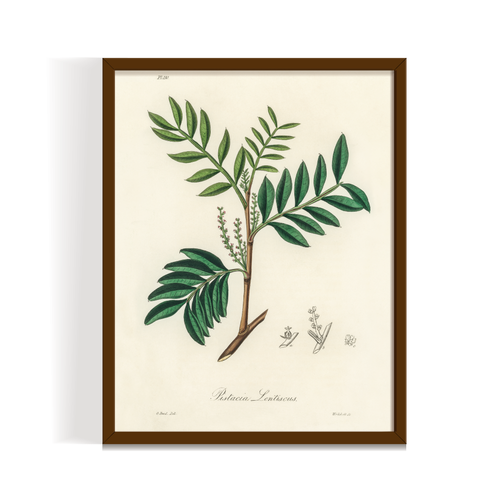 Leaves Sketch 1, Boho art, abstract painting brown framed print, for wall decor - Arts Fiesta Online Art Gallery