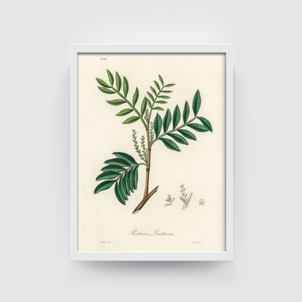 Leaves Sketch 1, Boho art, abstract painting white framed print, for wall decor - Arts Fiesta Online Art Gallery