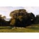 edward lear oil painting