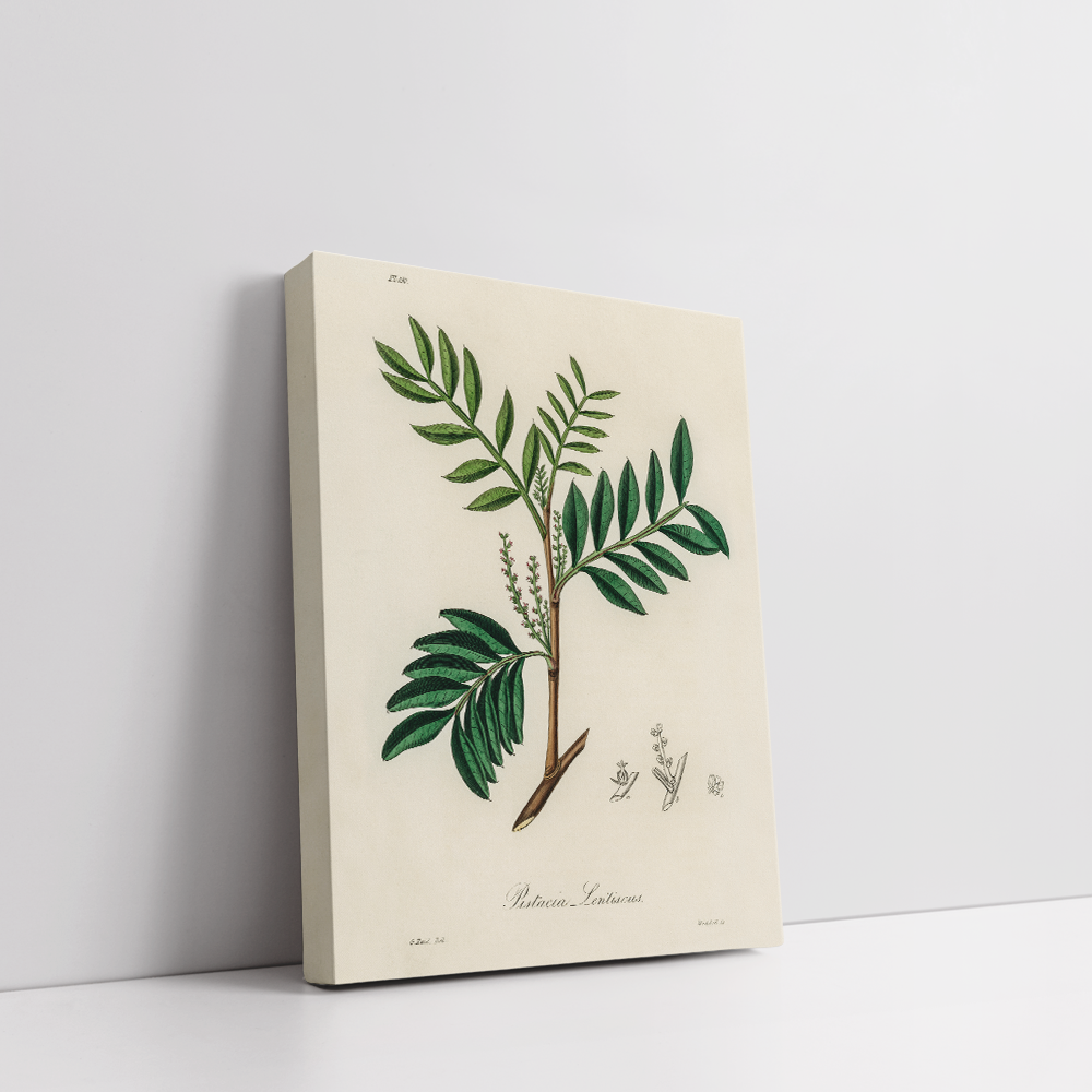 Leaves Sketch 1, Boho art, abstract painting stretched canvas framed print, for wall decor - Arts Fiesta Online Art Gallery