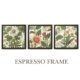 Botanics Art Botanical Espresso Frame