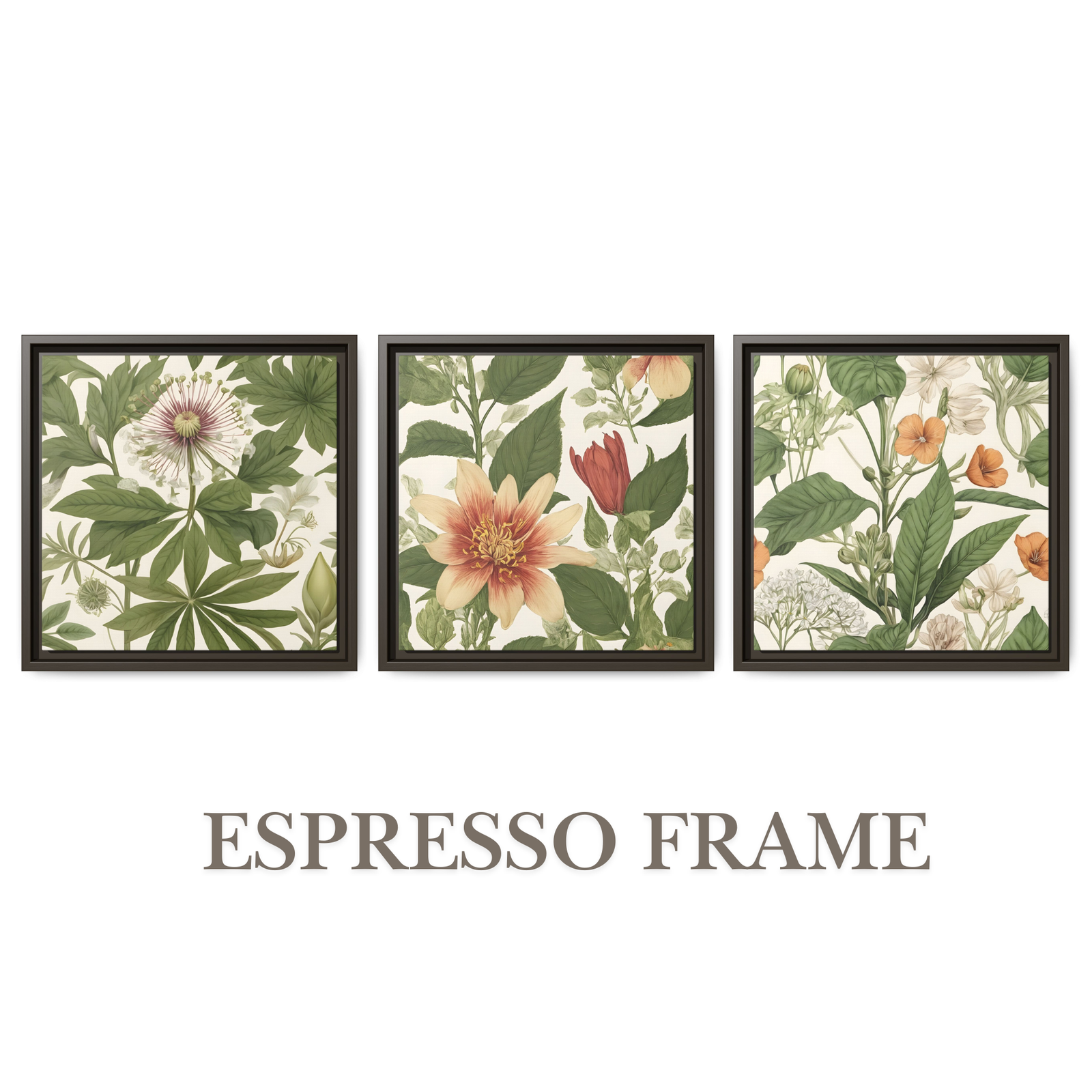 Botanics Art Botanical Espresso Frame
