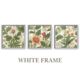 Botanics Art Botanical White Frame