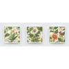 Botanics Art frame set Boho art, abstract painting white framed print, for wall decor - Arts Fiesta Online Art Gallery