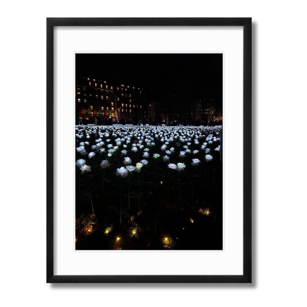 Glow Garden London Landscape black framed print by Arts Fiesta