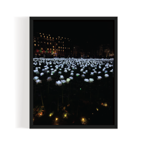 Glow Garden London Landscape black framed print by Arts Fiesta