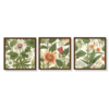 Botanics Art, frame set Boho art, abstract painting brown framed print, for wall decor - Arts Fiesta Online Art Gallery