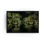 Nizuc Cancun Nature