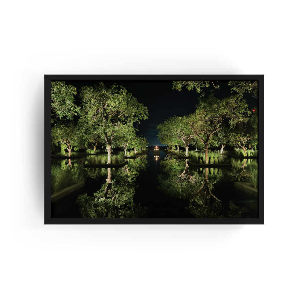 Nizuc Resort Cancun night photography in a sleek black frame, showing illuminated trees reflected on a calm pond with deep greens and soft lighting.