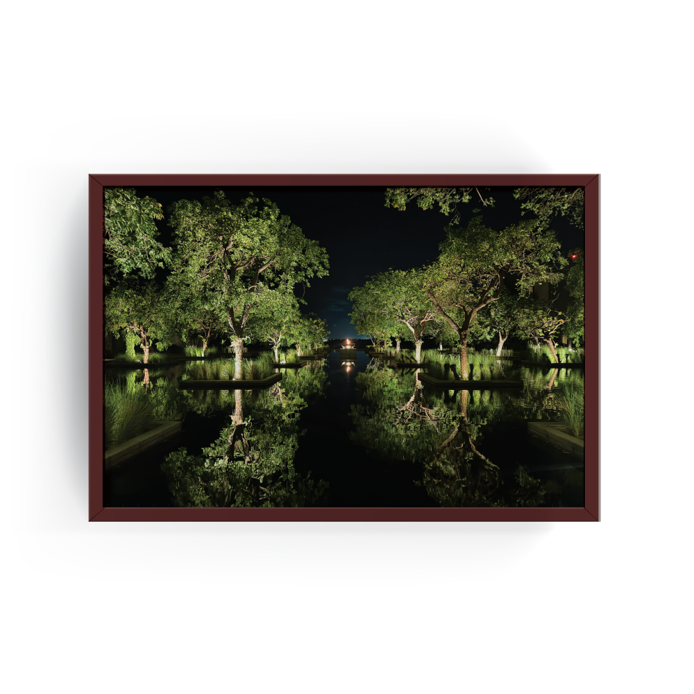 Nizuc Resort Cancun photo print in rich espresso wood frame featuring glowing trees and water reflections creating a peaceful tropical night scene.