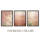 Blush Pink Boho Floral Wall Art Set of 3 Espresso Frame