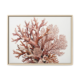 Coral Bloom botanical reef canvas print in a natural blonde wood float frame, contemporary ocean wall art for sale, close-up terracotta coral study on white background, Arts Fiesta
