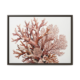 Botanical coral canvas wall art in a rich espresso wood frame, warm pink and rust coral reef painting print for living room or bedroom, earthy coastal art for modern home decor