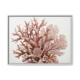 Coral Bloom reef painting in a white gallery frame, airy coastal botanical canvas wall art for bedroom or living room, soft pink and terracotta coral on white background, Arts Fiesta