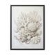 Ivory Reef Black Frame White coral botanical canvas print in a sleek black float frame, high-contrast ivory reef and shell wall art for sale, minimalist coastal painting for contemporary interiors, Arts Fiesta