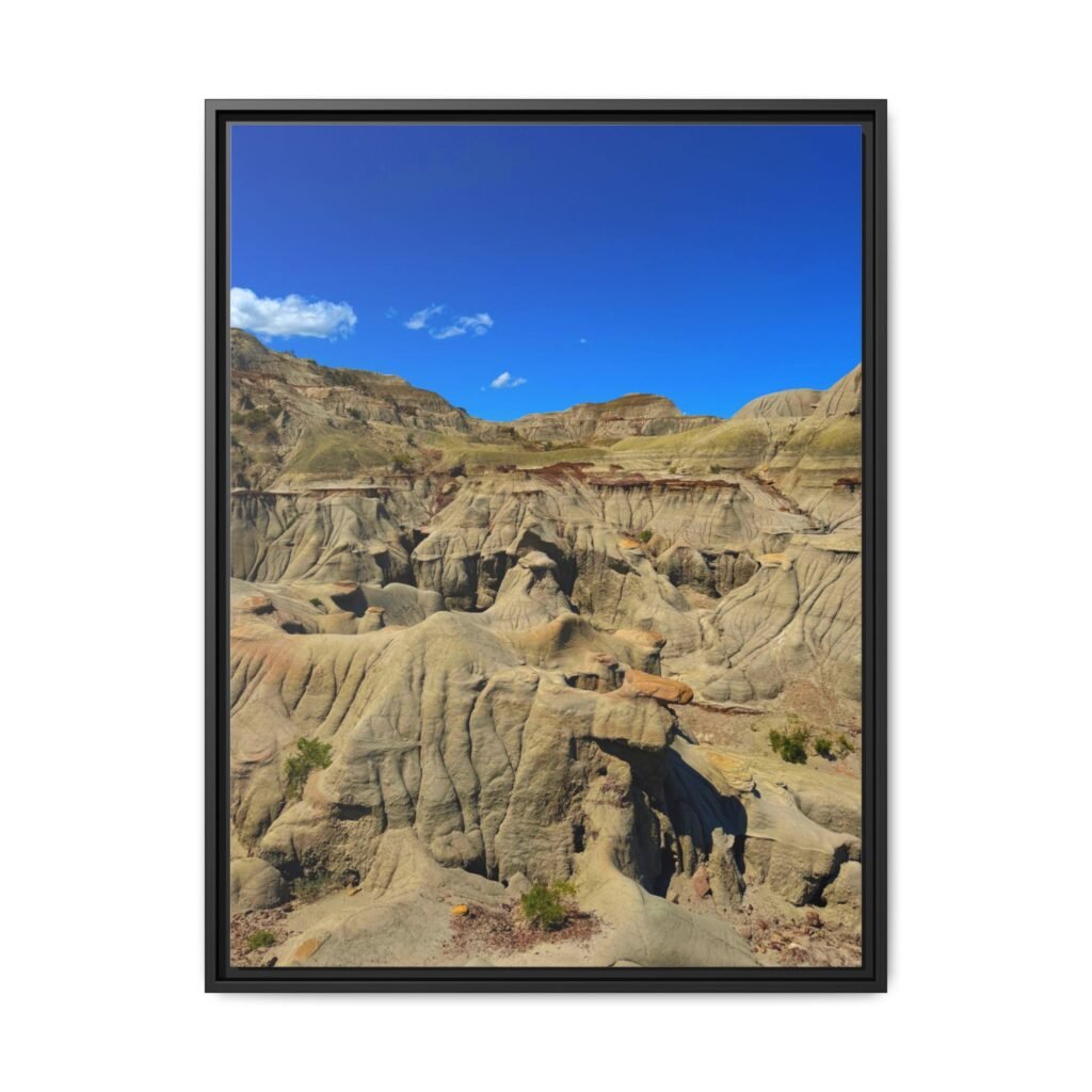 Dinosaur Provincial Park, Canadian Badlands Black Frame