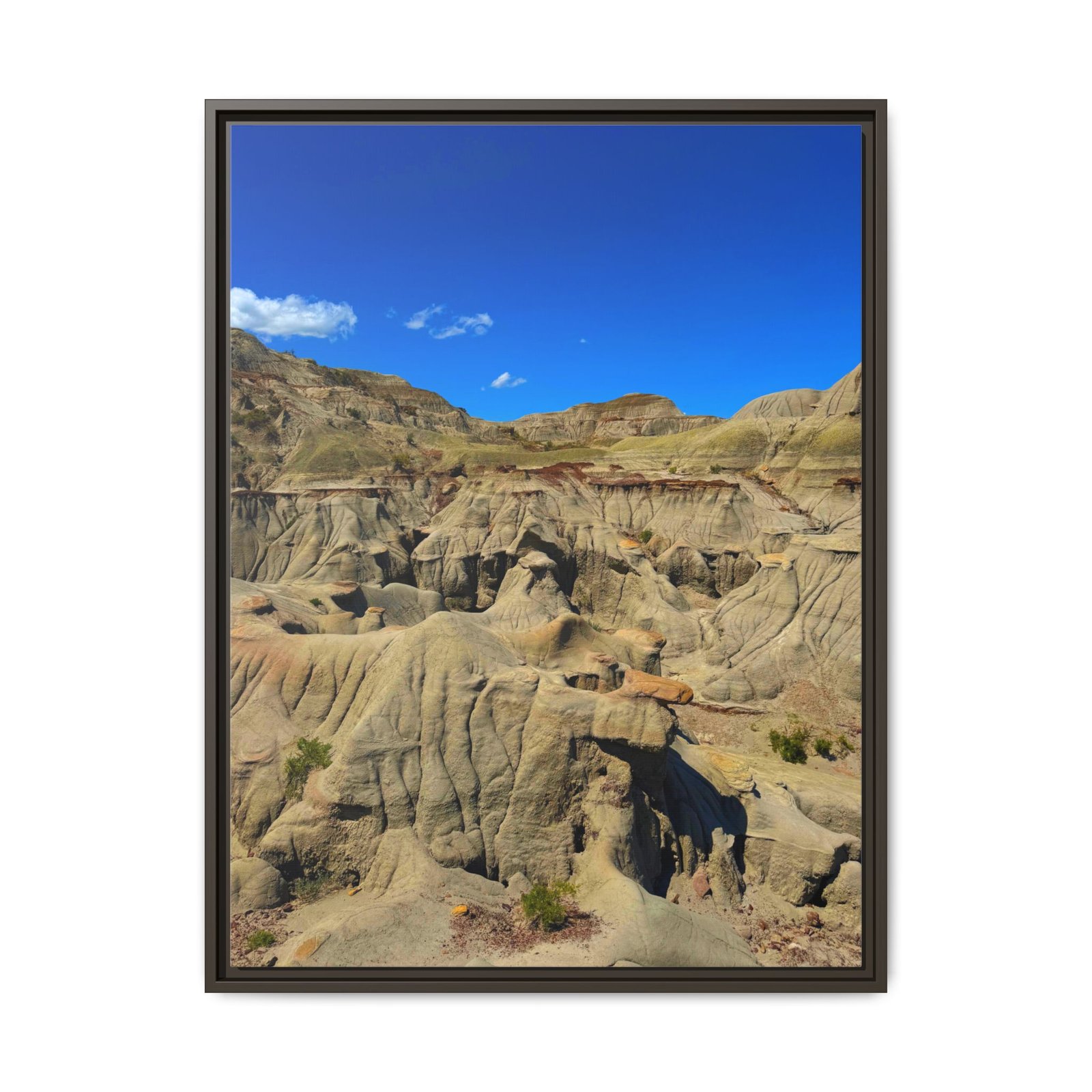 Dinosaur Provincial Park, Canadian Badlands Espresso Frame Dinosaur Provincial Park, Canadian Badlands Espresso Frame