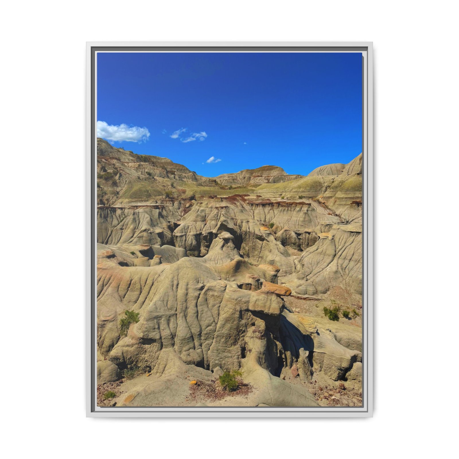 Dinosaur Provincial Park, Canadian Badlands White Frame