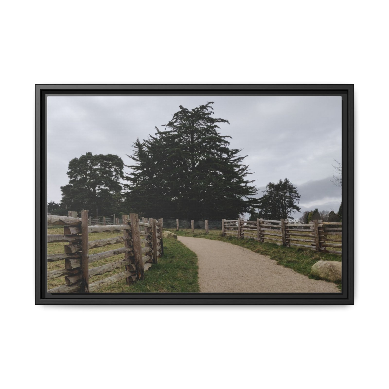 Fernhill Park and Gardens, Dublin Black Frame Fernhill Park and Gardens, Dublin Black Frame