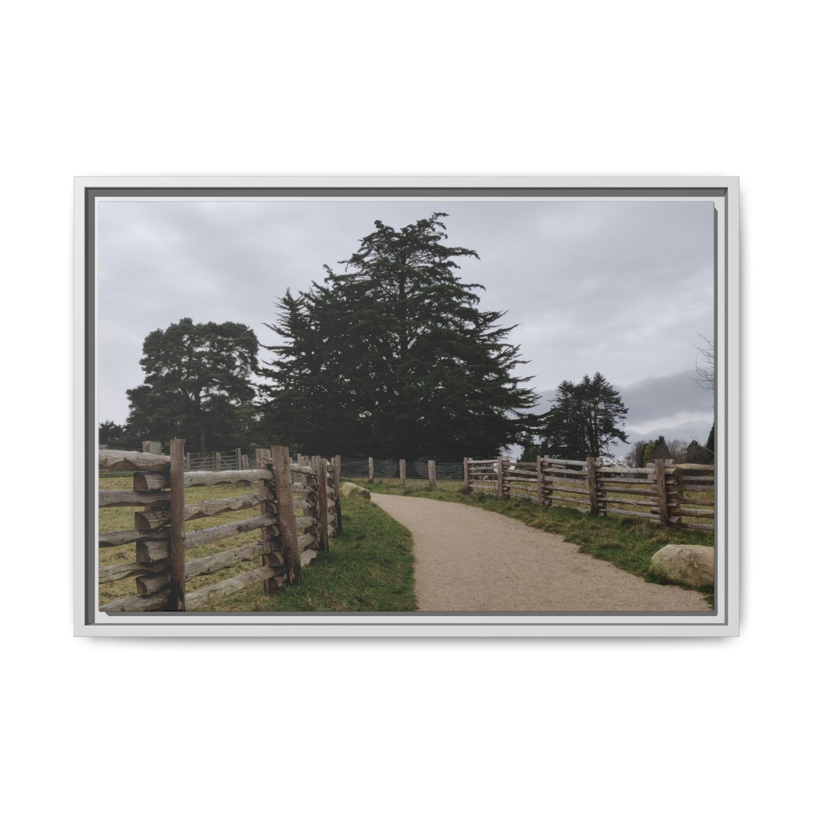 Fernhill Park and Gardens, Dublin White Frame Fernhill Park and Gardens, Dublin White Frame