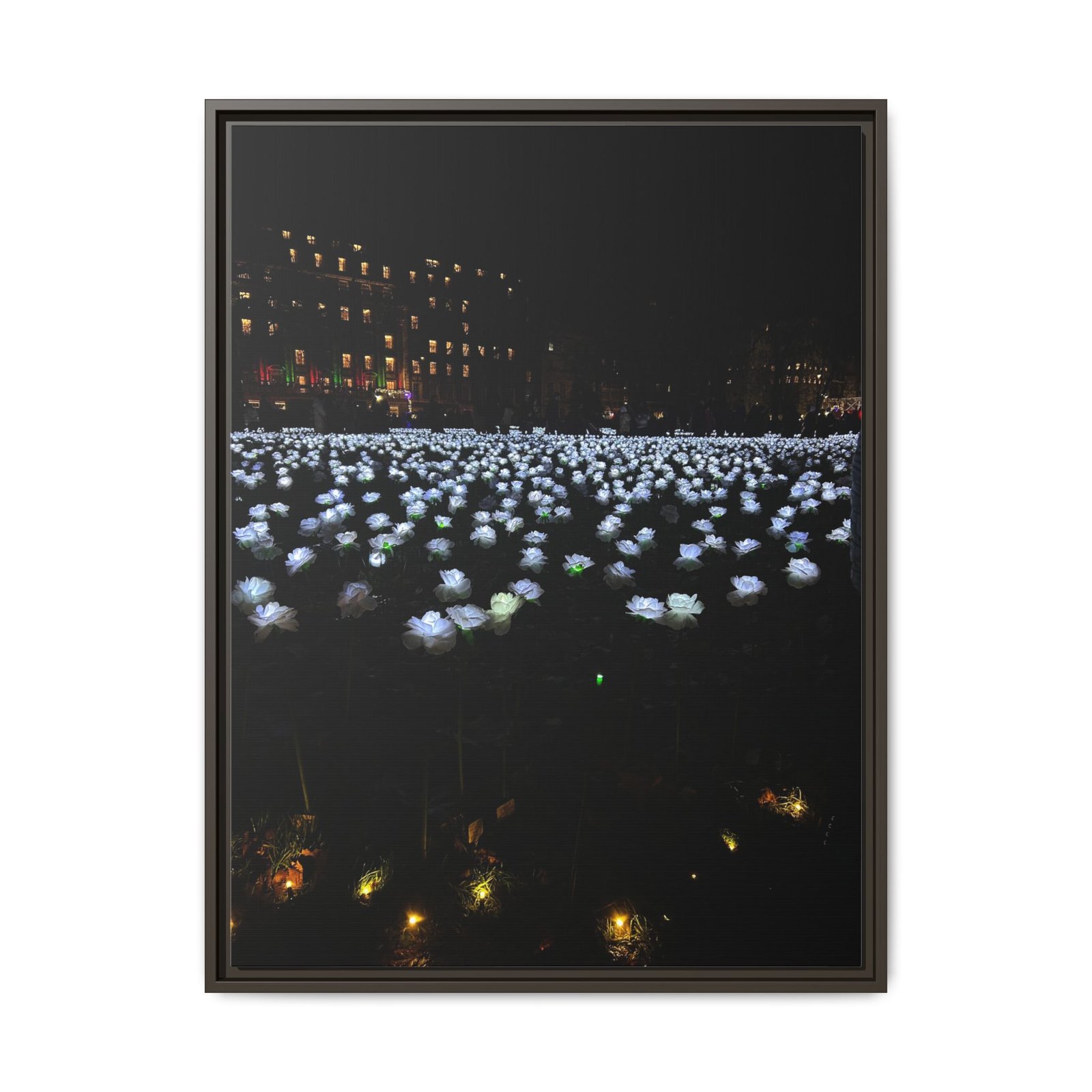 Glow Garden Espresso Frame