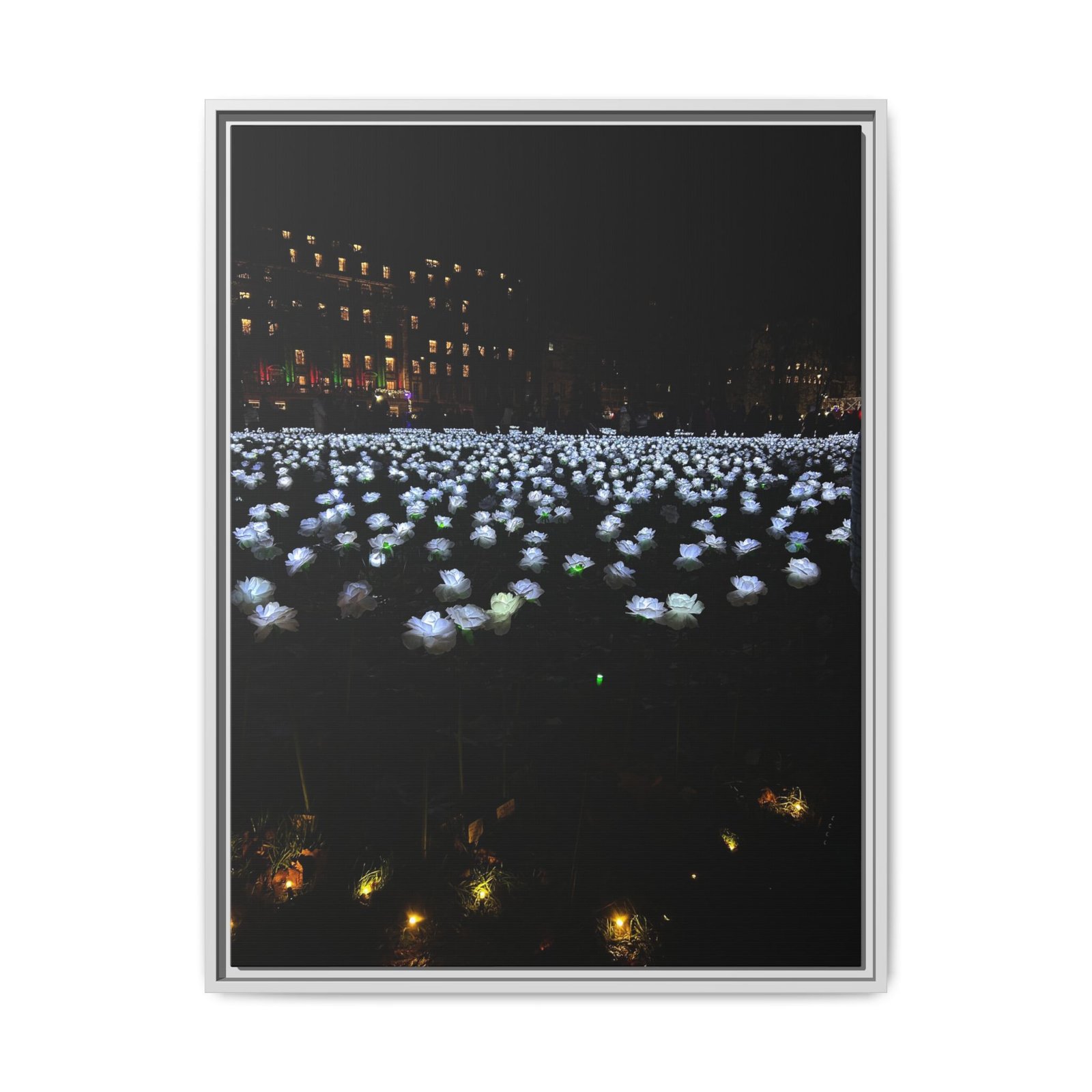 Glow Garden White Frame